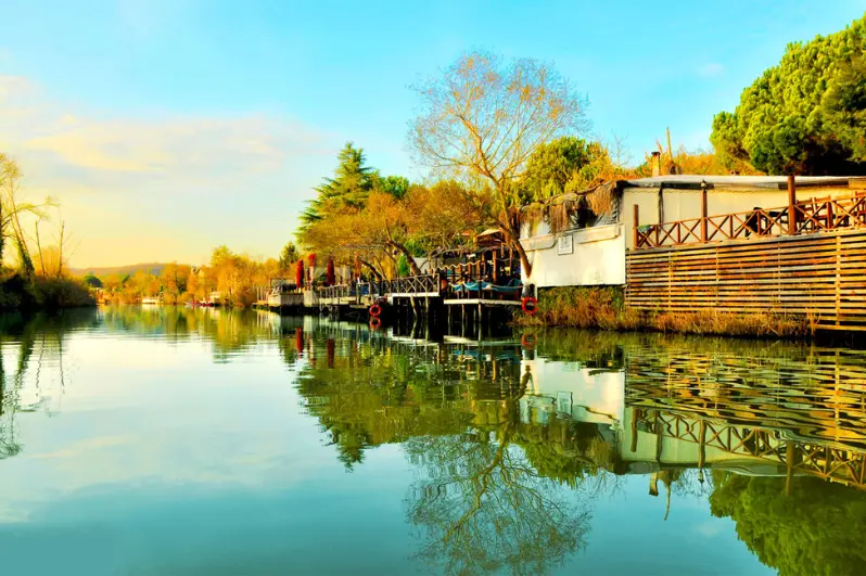 جولة شيلا واغوا